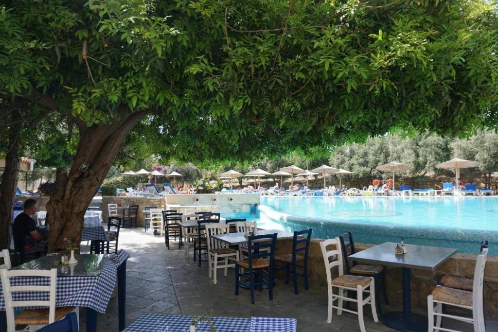 Alex'S Vacation Suite - 100M From The Beach - 6 Guests Пафос Экстерьер фото